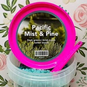 Pink Zebra Sprinkles Wax Melts ✨Pacific Mist & Pine✨